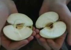 Руками яблоко пополам - YouTube